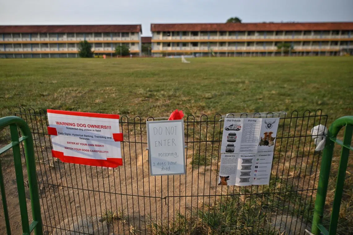 Signs warning dog owners about suspected dog poisoning at the opening field along Parry Avenue on Oct 8, 2023.



/Dog owners are warning others against taking their furry friends to a field along Parry Avenue in Kovan, following suspected poisoning cases that have led to the deaths of at least three dogs.
https://www.straitstimes.com/singapore/dog-owners-warn-of-poisoning-cases-at-field-along-parry-avenue