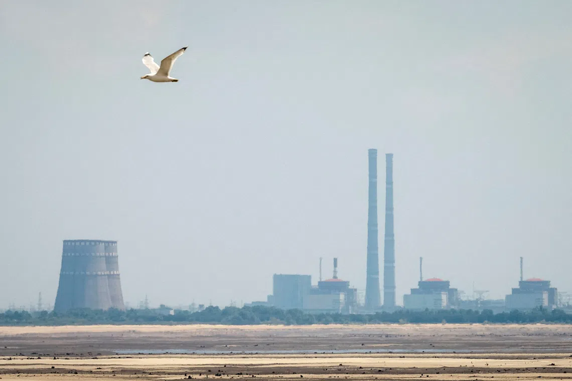 Ukraine's Zaporizhzhia nuclear plant temporarily lost power overnight, IAEA says