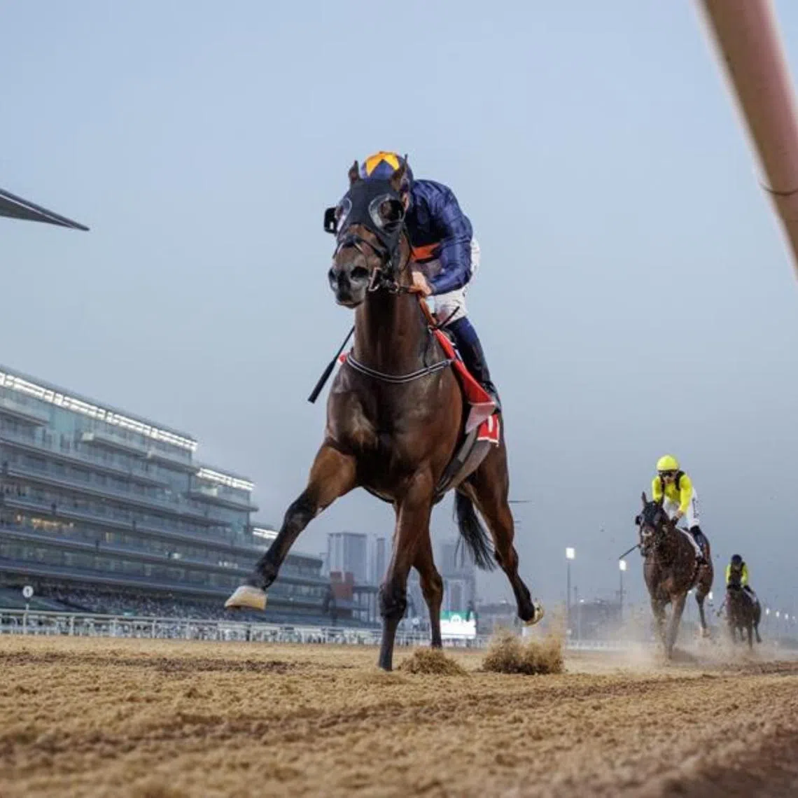 Dark Saffron (Connor Beasley) blitzing his rivals in the Emirates Airline (1,200m) at Meydan on Nov 7, 2025. The Group 1 winner then ran last in the Listed Al Garhoud Sprint (1,200m) on Dec 5, 2025, but will aim to bounce back in the Group 3 Dubawi Stakes (1,200m) at Meydan on Jan 2, 2026.