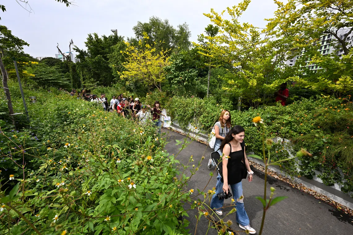 Bidadari is one example, where HDB worked with the Nature Society Singapore to retain an important hillock used by migratory birds.