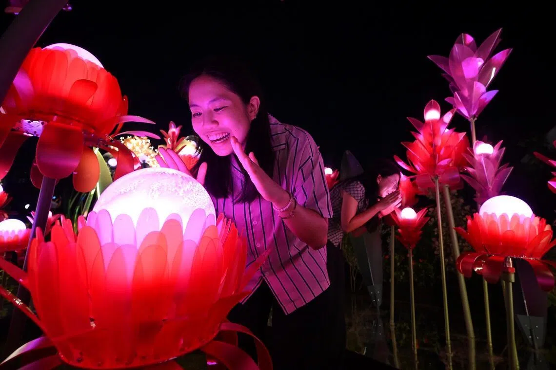 Two young visitors at the Known By Flowers Light Installation at the Singapore Garden Festival on July 2. This particular installation lights up in different hues and intensity depending on the volume of sound emitted near them.