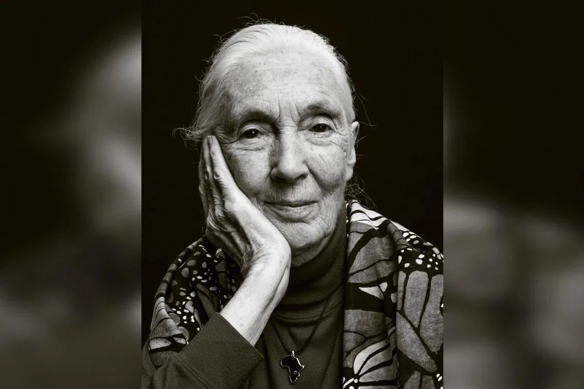 Jane Goodall is one of the world's most revered conservationists. 