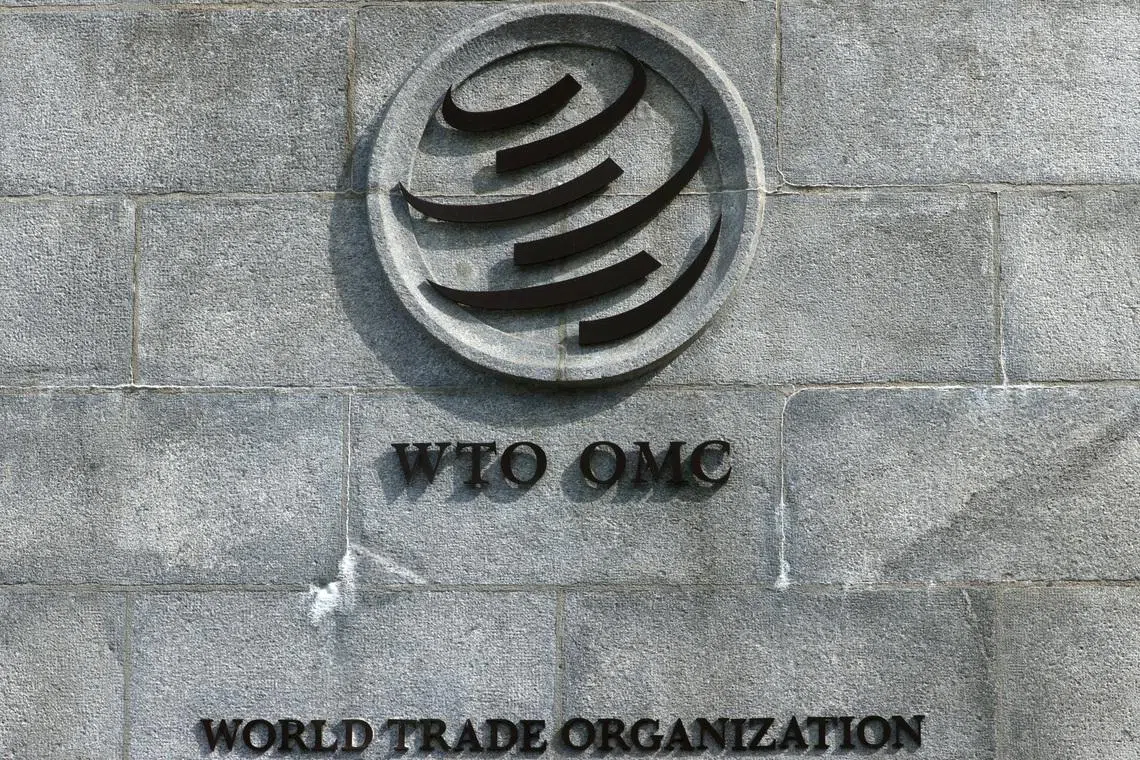 WTO members bypass opposition to introduce world’s first baseline digital trade rules