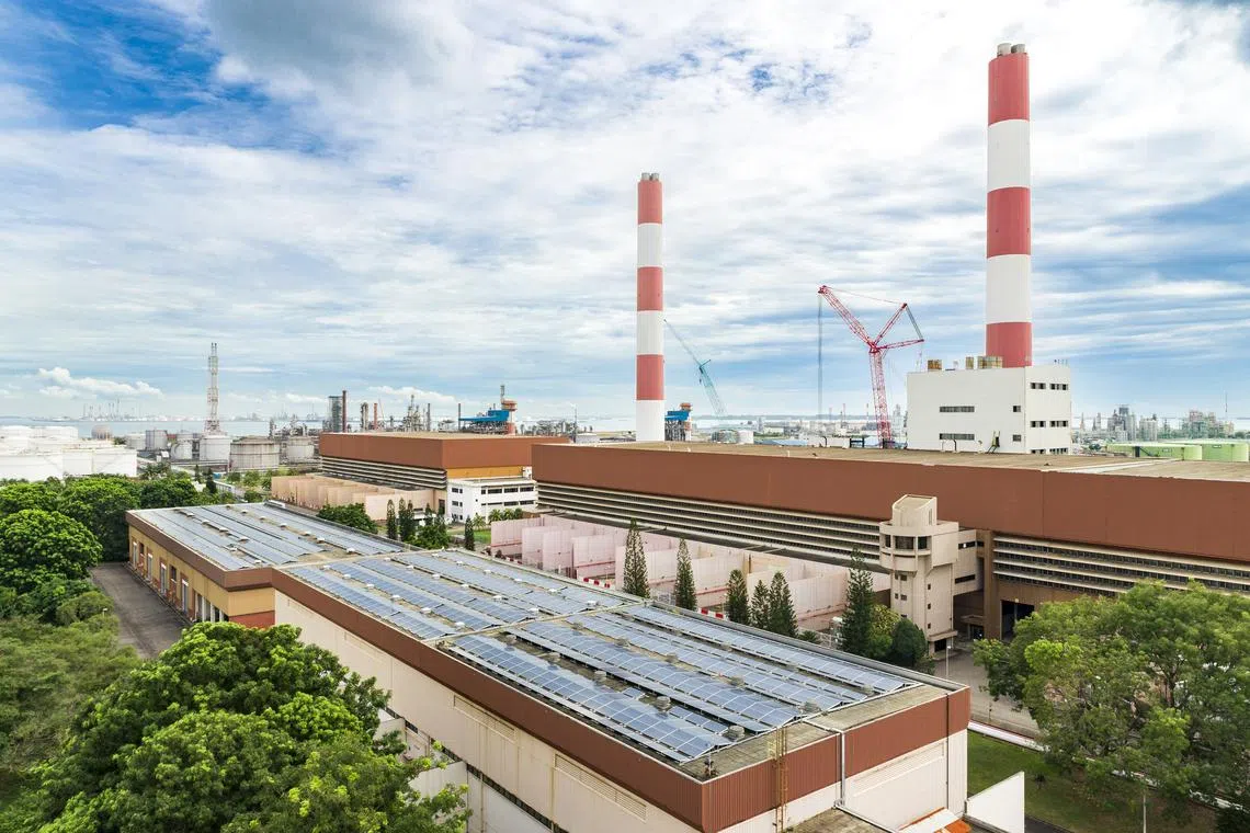 Earnings from YTL Power’s venture in neighbouring Singapore will remain strong next year on elevated retail margins