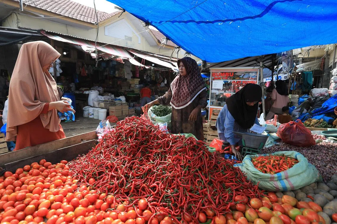 Indonesia's economic growth in the third quarter of 2025 has not tallied with other key indicators, prompting cynicism.