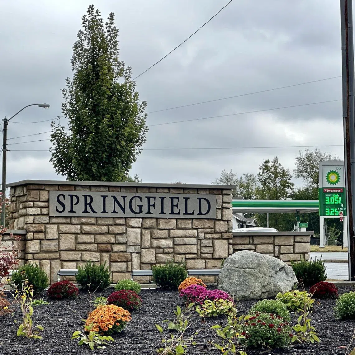 bgcats - Springfield Ohio


Credit: Bhagyashree Garekar