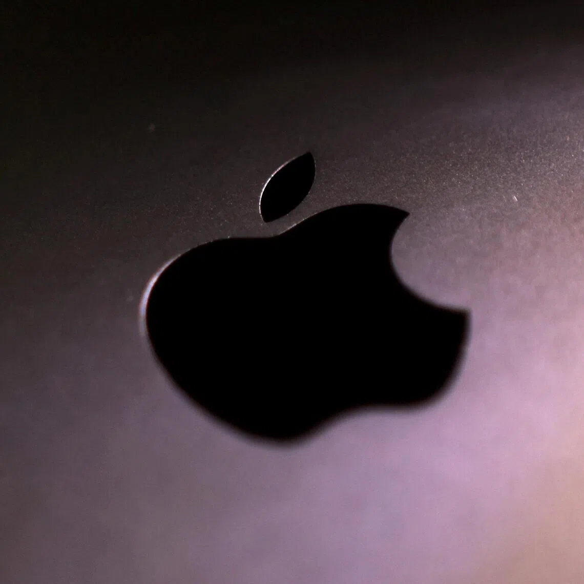 Apple said that the new function comes in collaboration with payment platforms, app developers, and payment networks.