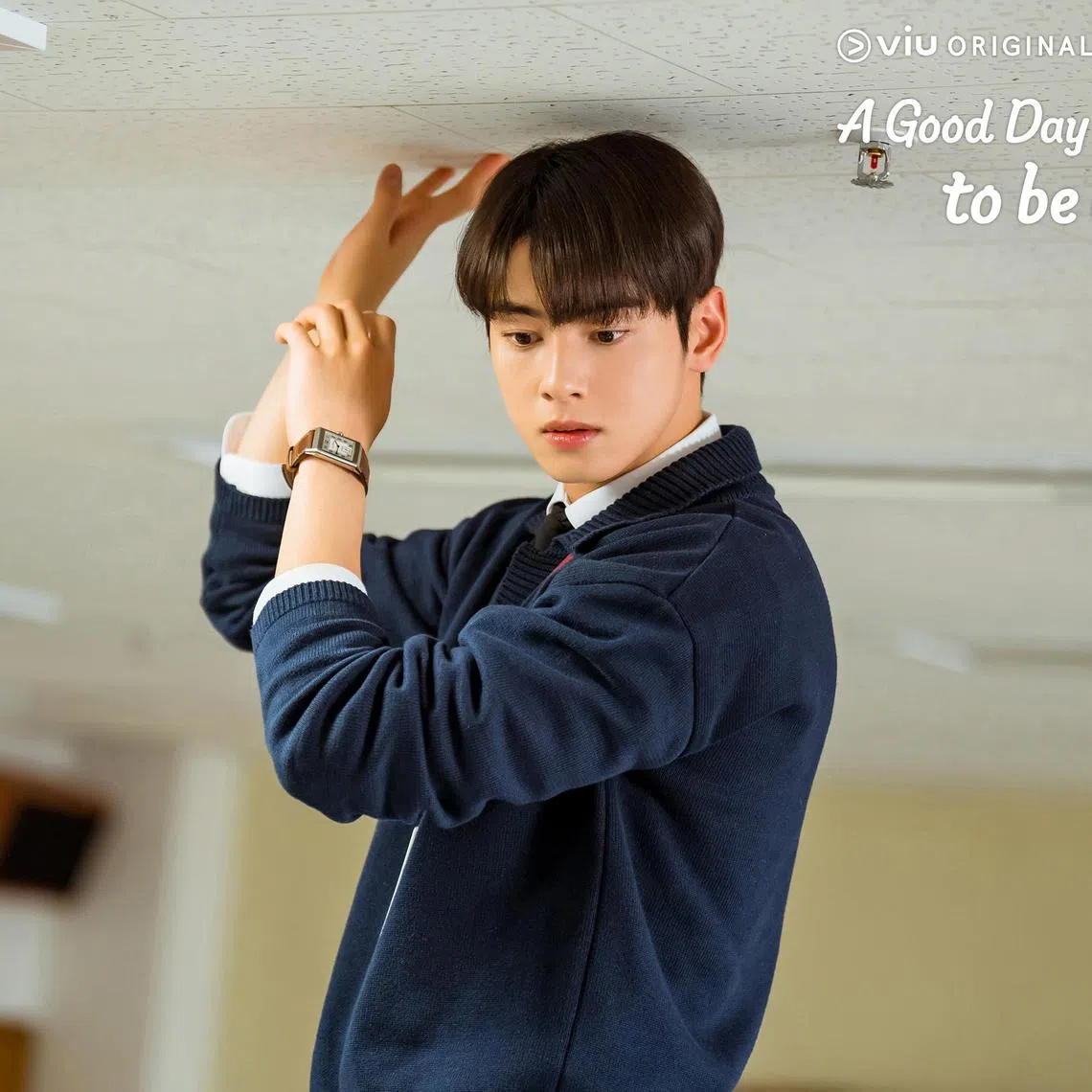 South Korean actor Cha Eun-woo plays a teacher with a phobia of dogs in the new romantic-comedy A Good Day To Be A Dog. 