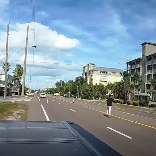 A video shows Mr John Brittingham running towards two young girls standing in the roadway as a white car bears down on them. 
