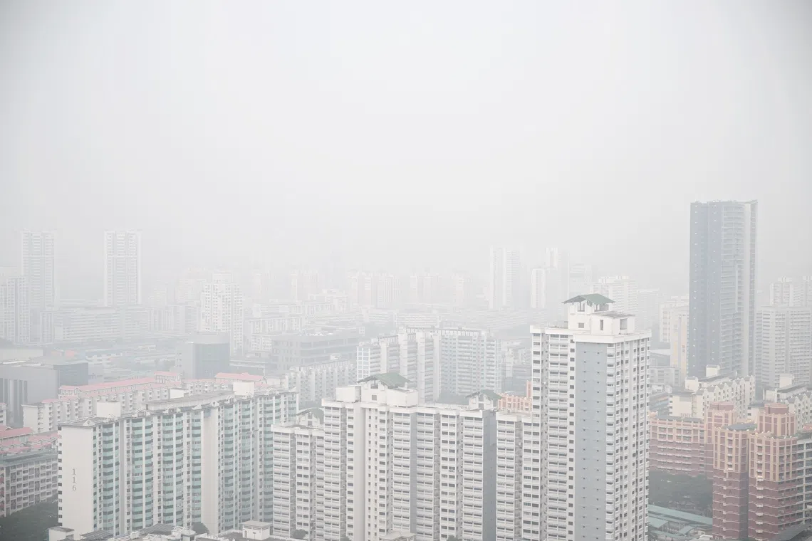 The Singapore Exchange-listed company said it welcomed a thorough, evidence-based examination of the ongoing fires and haze situation.