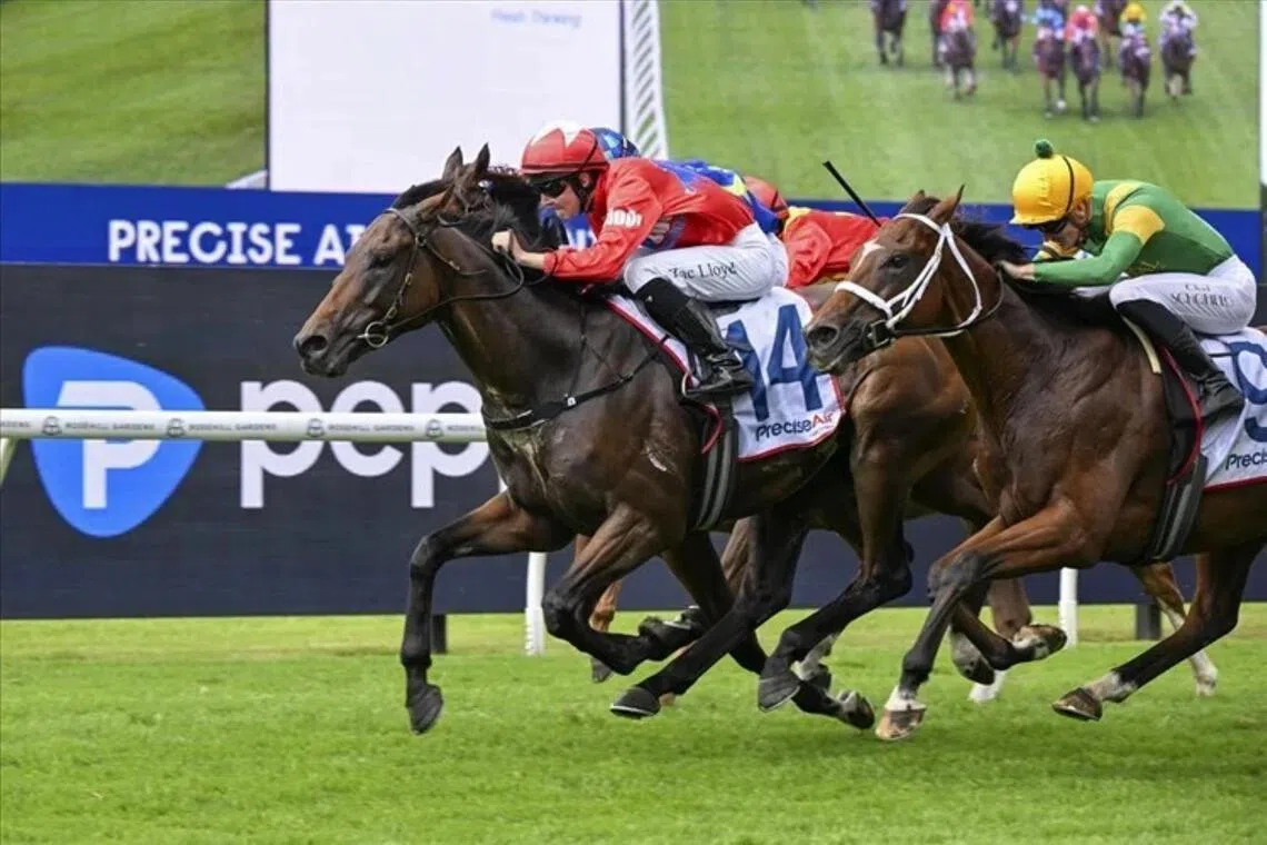 Mr Monaco a worthy favourite