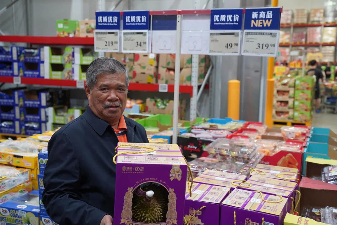 Mr Mohamad said in China, fresh durians from Malaysia are considered premium and are more expensive than durians imported from Thailand and the Philippines.