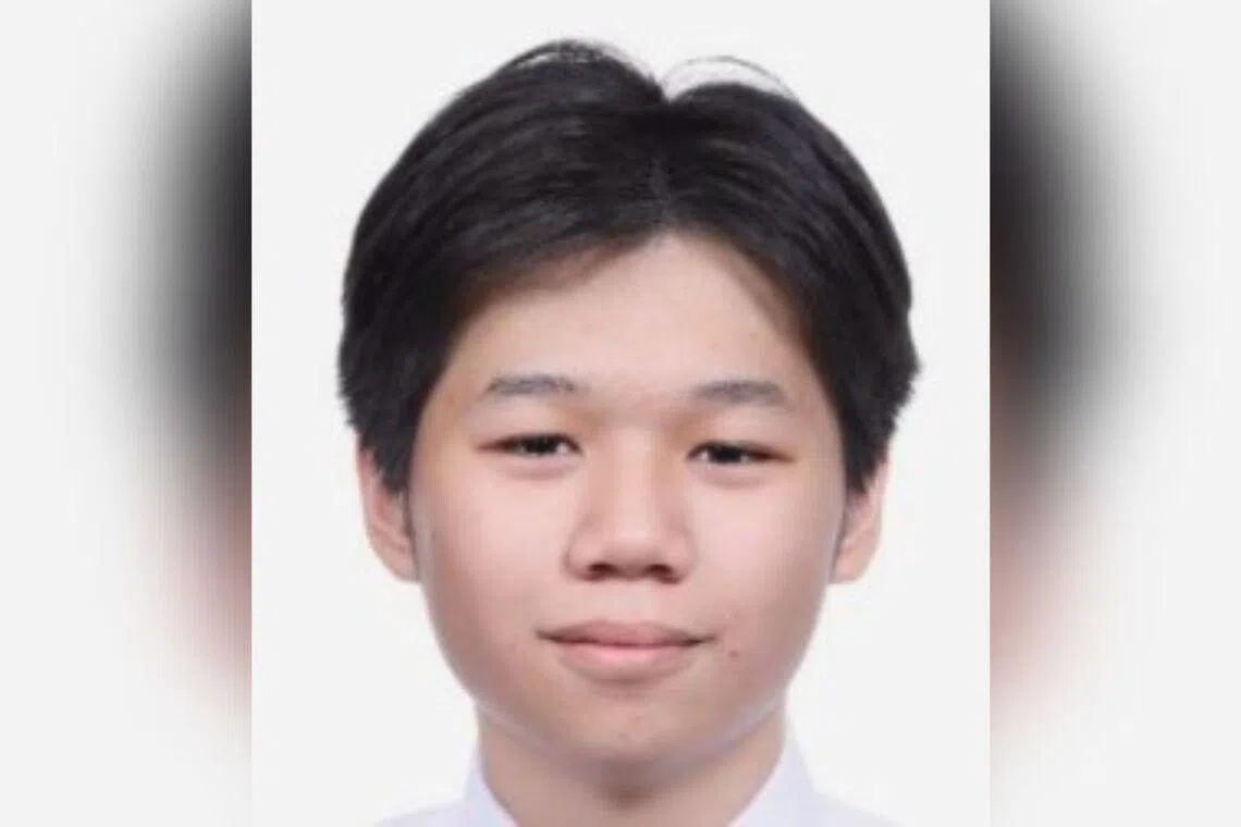 Tan Jing Kang Daryl was last seen near Block 25 New Upper Changi Road at about 5.15pm on April 9.