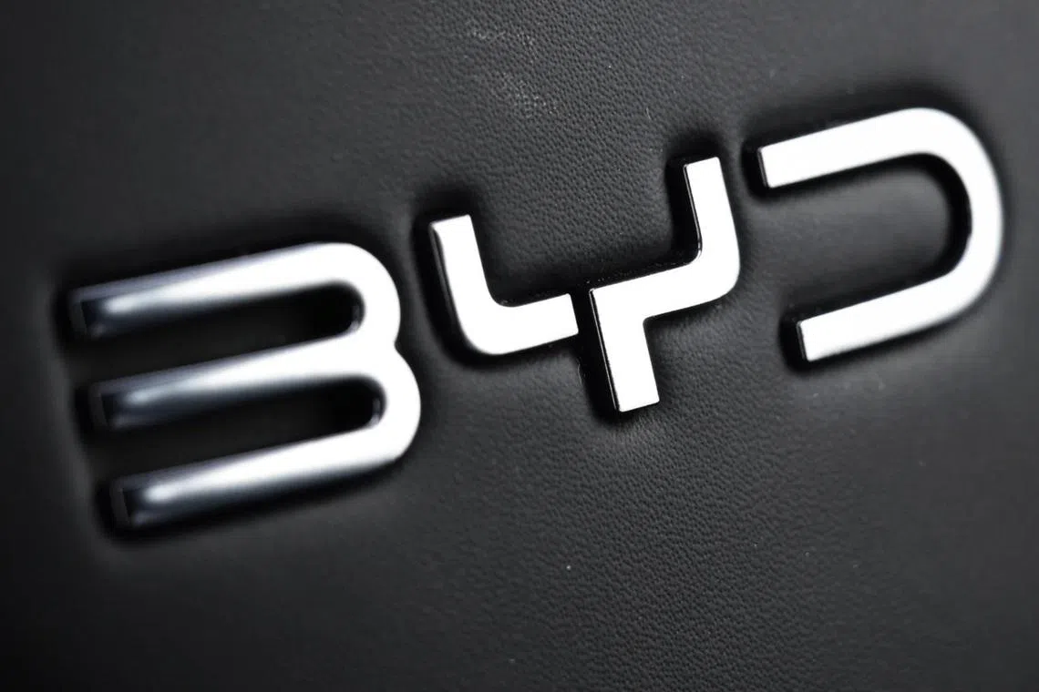 Close up of the BYD logo in the BYD Sealion 7 for Life motoring review photographed on Jan 14, 2025.