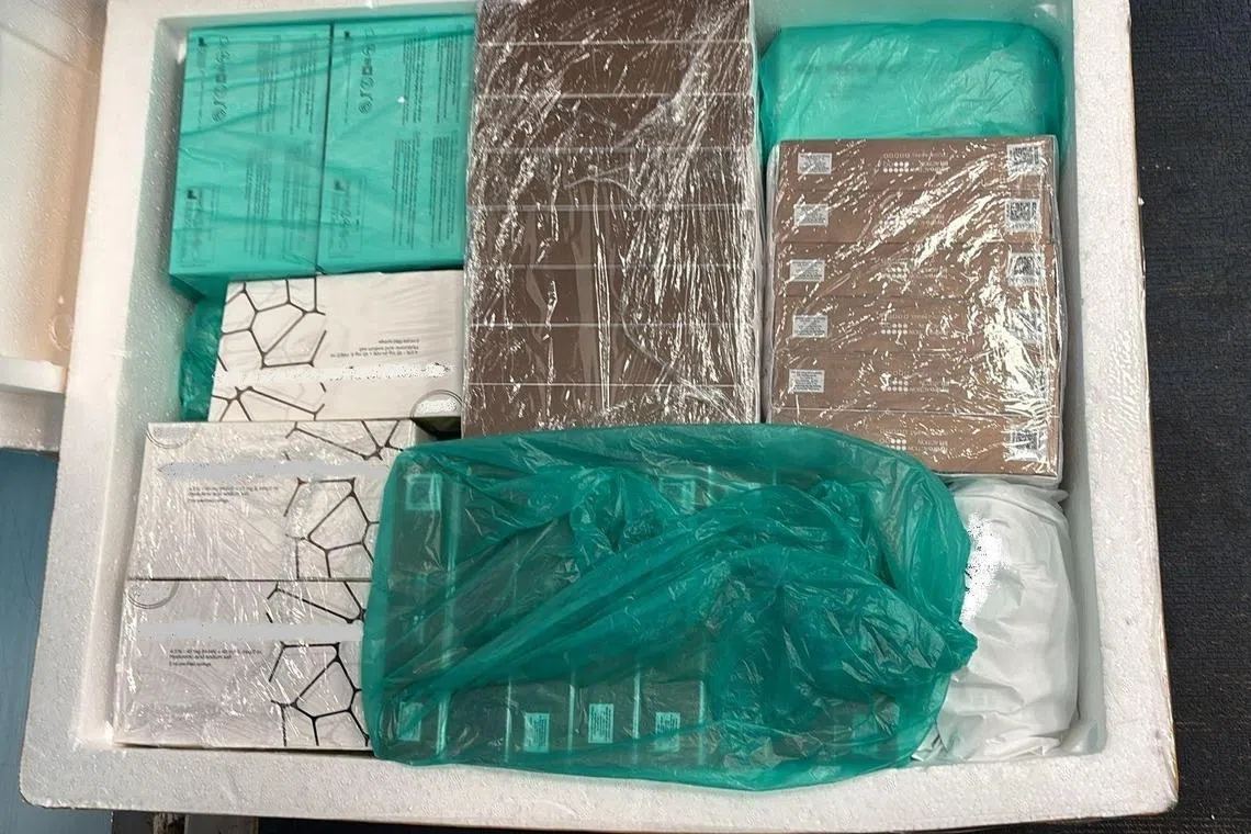 Dermal fillers seized during the raid. Prescription medication and anti-parasitic drugs made up the bulk of the seizures in Singapore.