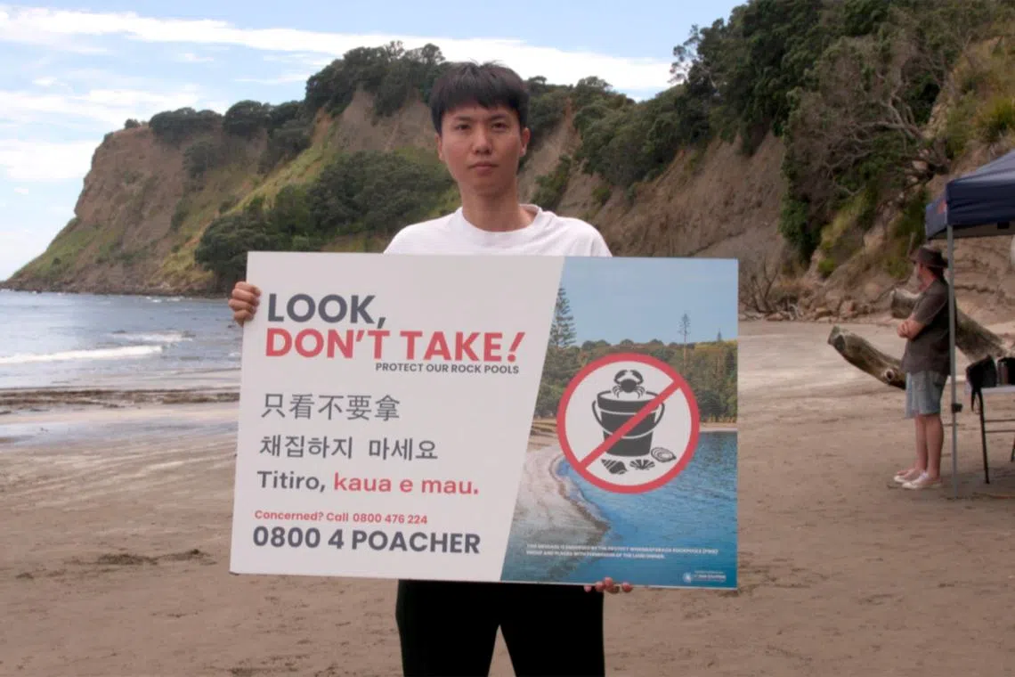 ‘Bucket people’: Coastal foragers in New Zealand spark debate about free seafood and race