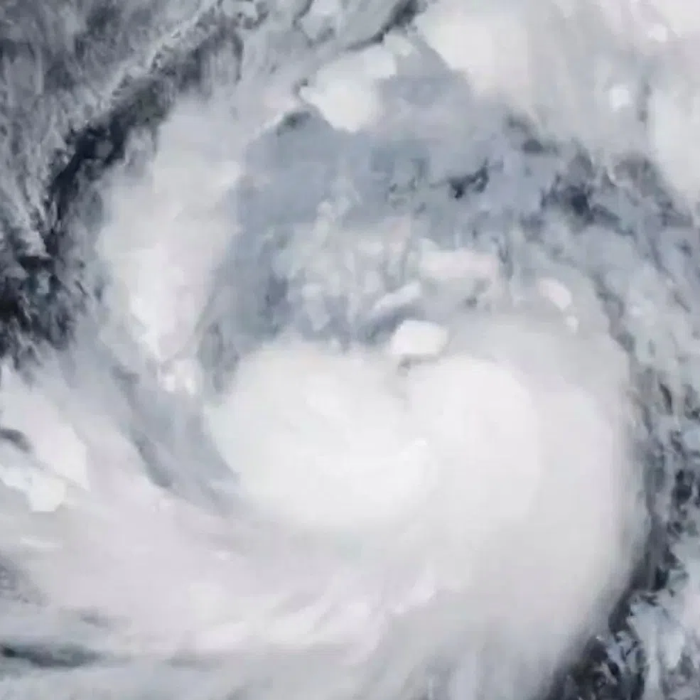 A satellite image shows Storm Fung-Wong, which has intensified into a typhoon, over the Philippine Sea on Nov 7.