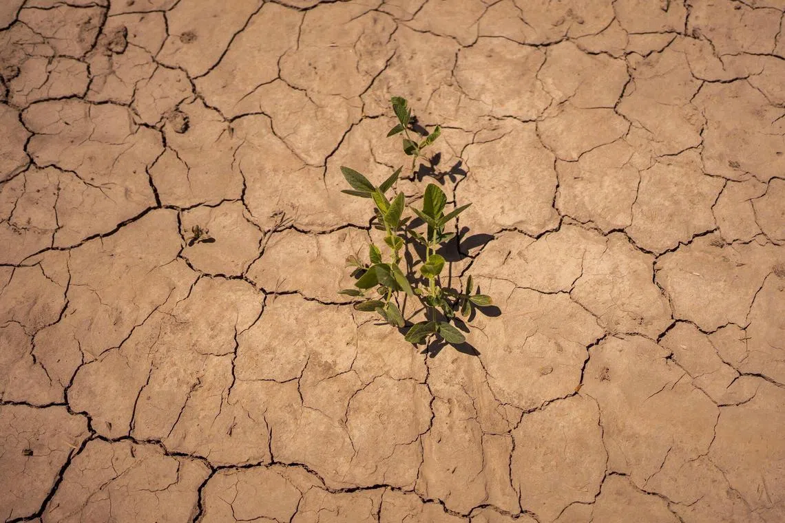 Mr Bloomberg’s intervention aims to ensure the United Nations Framework Convention on Climate Change (UNFCCC) remains fully funded.