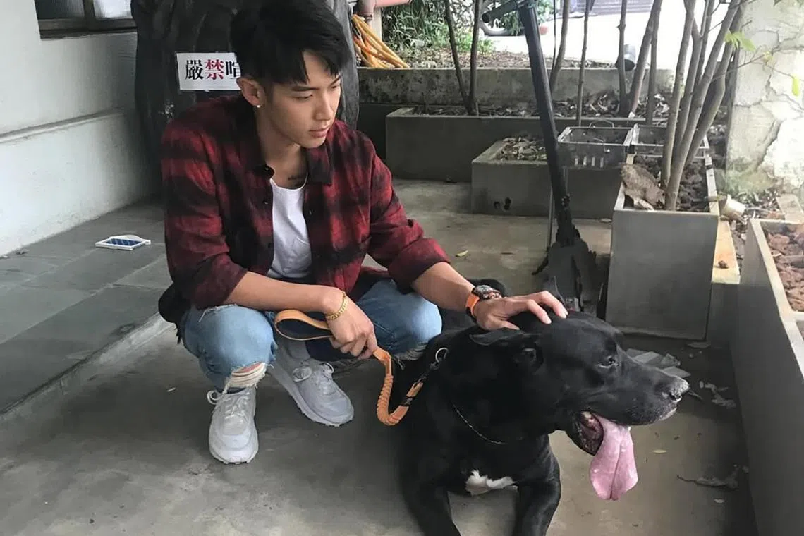 Kai Ko said he would stop work for a while after his dog’s death.