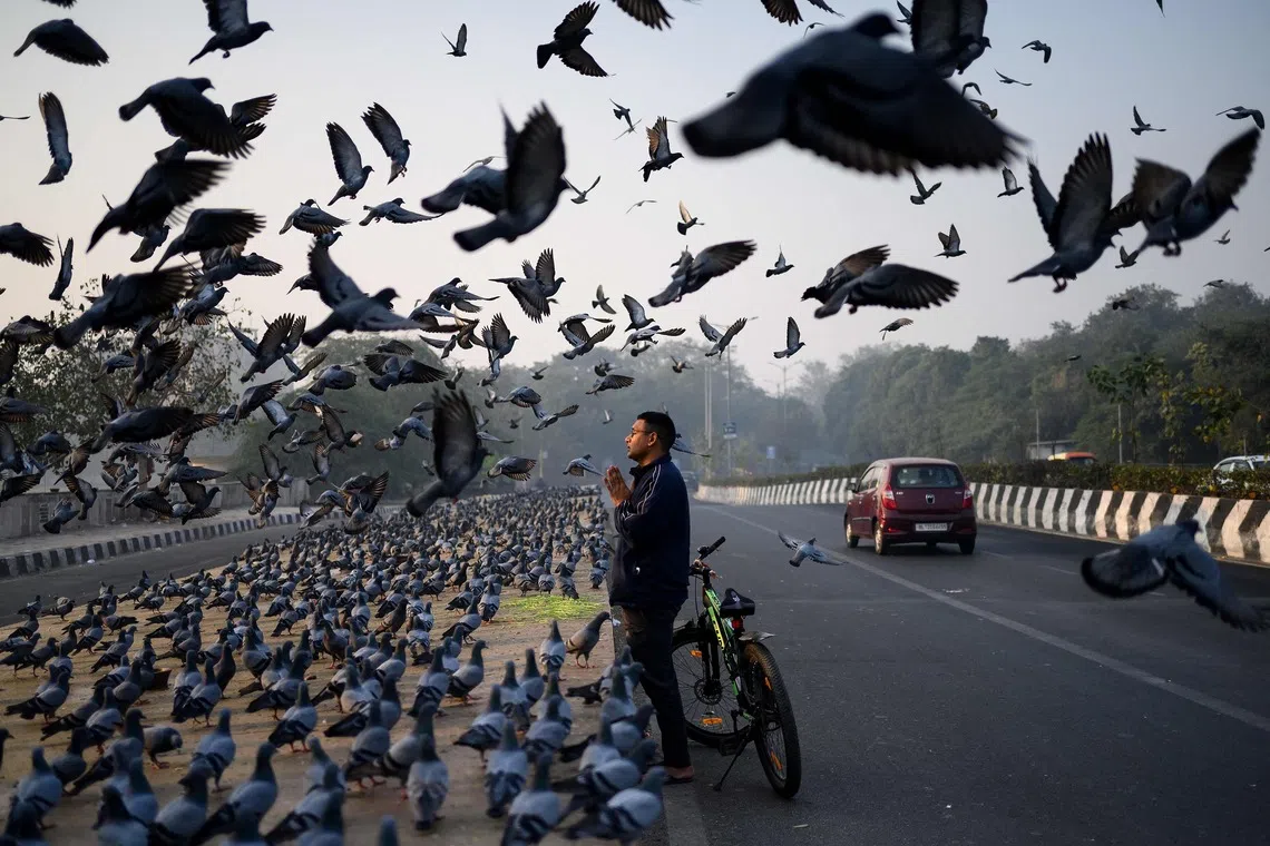 A man offering prayers along a road, as pigeons fly past on a smoggy morning in New Delhi, on Dec 3, 2025. 