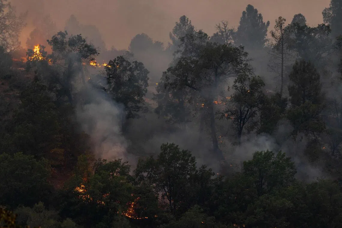CHICO, CALIFORNIA - JULY 27: Trees burn into the night east of the small community of Payne Creek as the Park Fire, which has grown to 353,194 acres and is 10 percent contained, continues its spread on July 27, 2024 near Chico, California. Strong winds and dried vegetation fueled the fire that exploded 70,000 acres in the first 24 hours after a man allegedly pushed a burning car into a ravine to intentionally set the blaze. In 2018, more than 18,000 structures were destroyed and 85 people killed in the nearby town of Paradise when the Camp Fire entrapped thousand of people and became the deadliest and most destructive fire in California history.   David McNew/Getty Images/AFP (Photo by DAVID MCNEW / GETTY IMAGES NORTH AMERICA / Getty Images via AFP)