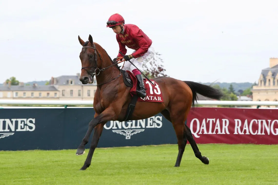 Parachutiste (Oisin Murphy) finishing  unplaced in the Group 1 Prix du Jockey Club (2,100m) at Chantilly in 2025, but will command plenty of respect in the Group 3 Prix de Reux (2,500m) at Deauville on Aug 9.

PHOTO: SCOOPDYGA