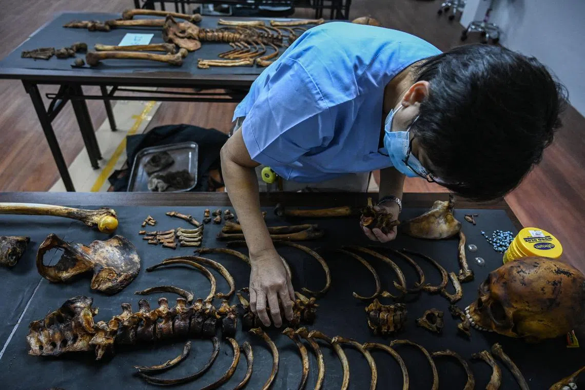 This photo taken on Nov 17, 2022 shows forensic pathologist Raquel Fortun arranging the skeletal remains of a drug war victim for autopsy in her laboratory at the University of the Philippines College of Medicine in Manila. 
