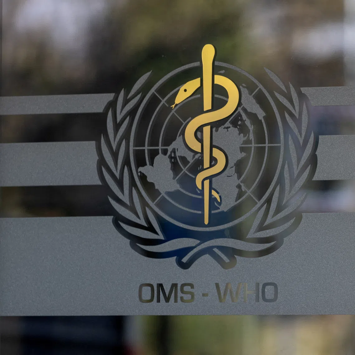 FILE PHOTO: The logo of the World Health Organization is seen at the WHO headquarters in Geneva, Switzerland, January 28, 2025. REUTERS/Denis Balibouse/File Photo