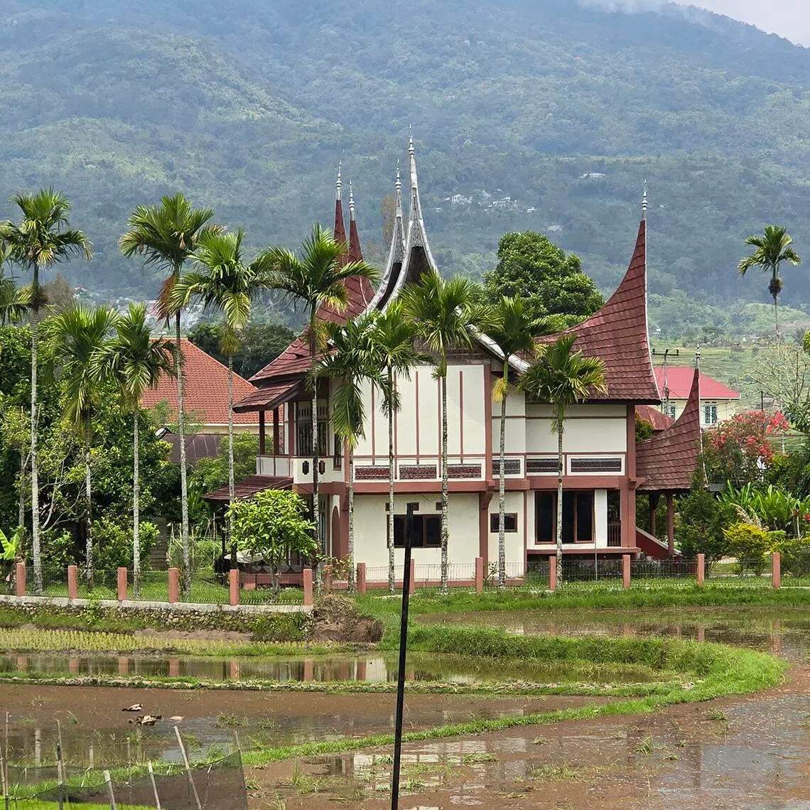 aapadang - A traditional Minangkabau rumah gadang stands amid rice fields in West Sumatra. The house is built largely from wood and topped by distinctive gonjong, the upward-curving roof peaks associated with Minangkabau architecture. Such rooflines are a common sight across West Sumatra, appearing not only on private homes such as this one but also on government offices and other public buildings.

Credit: Arlina Arshad