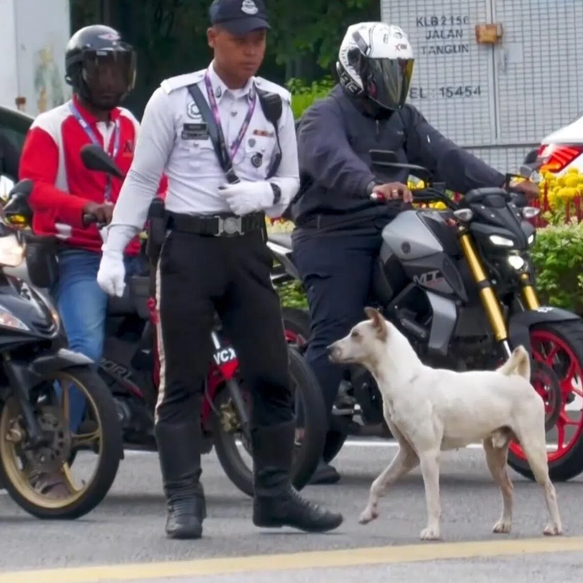 Some motorists slow down to give the traffic officers treats to give to Jon. 