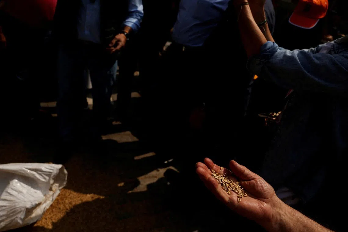 Spain urges billions for EU farmers to ease fertiliser shock