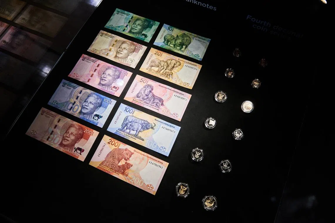 The “Big Five” game animals – elephant, rhino, lion, leopard and buffalo – are depicted with their cubs and calves.