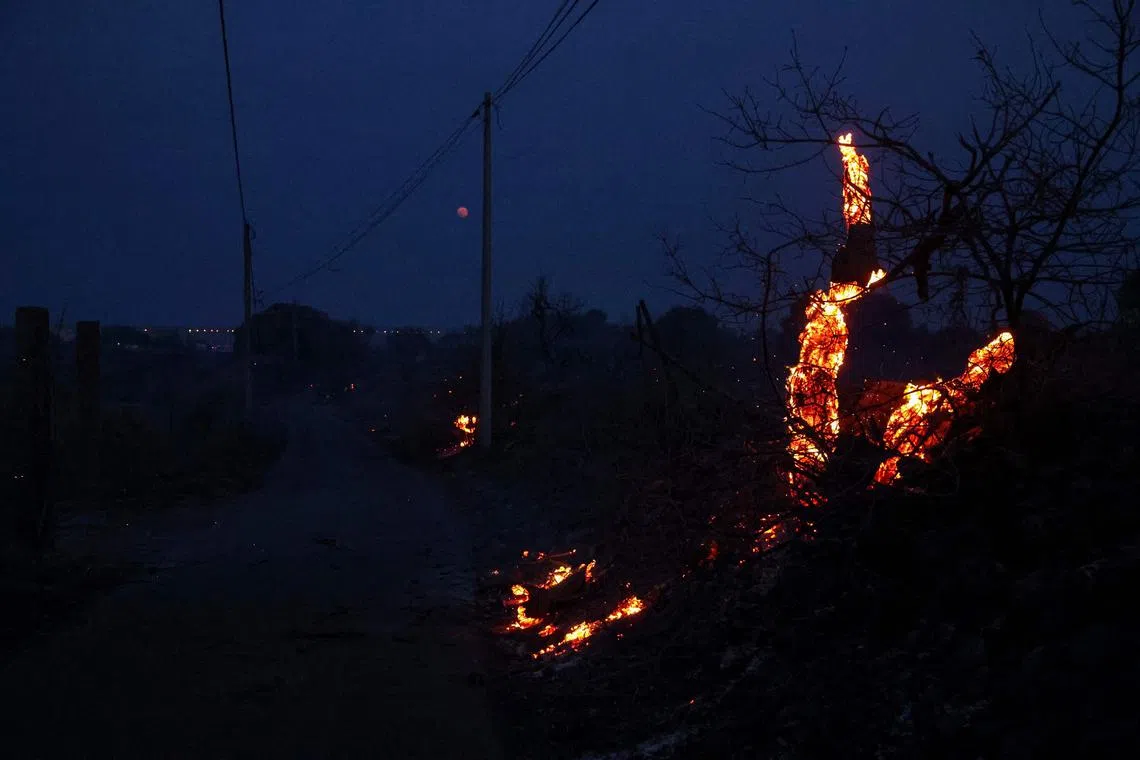 Burning vegetation next to a road near Frontignan as a fire hit 300 hectares in the Herault department southern France on Aug 18, 2024. 