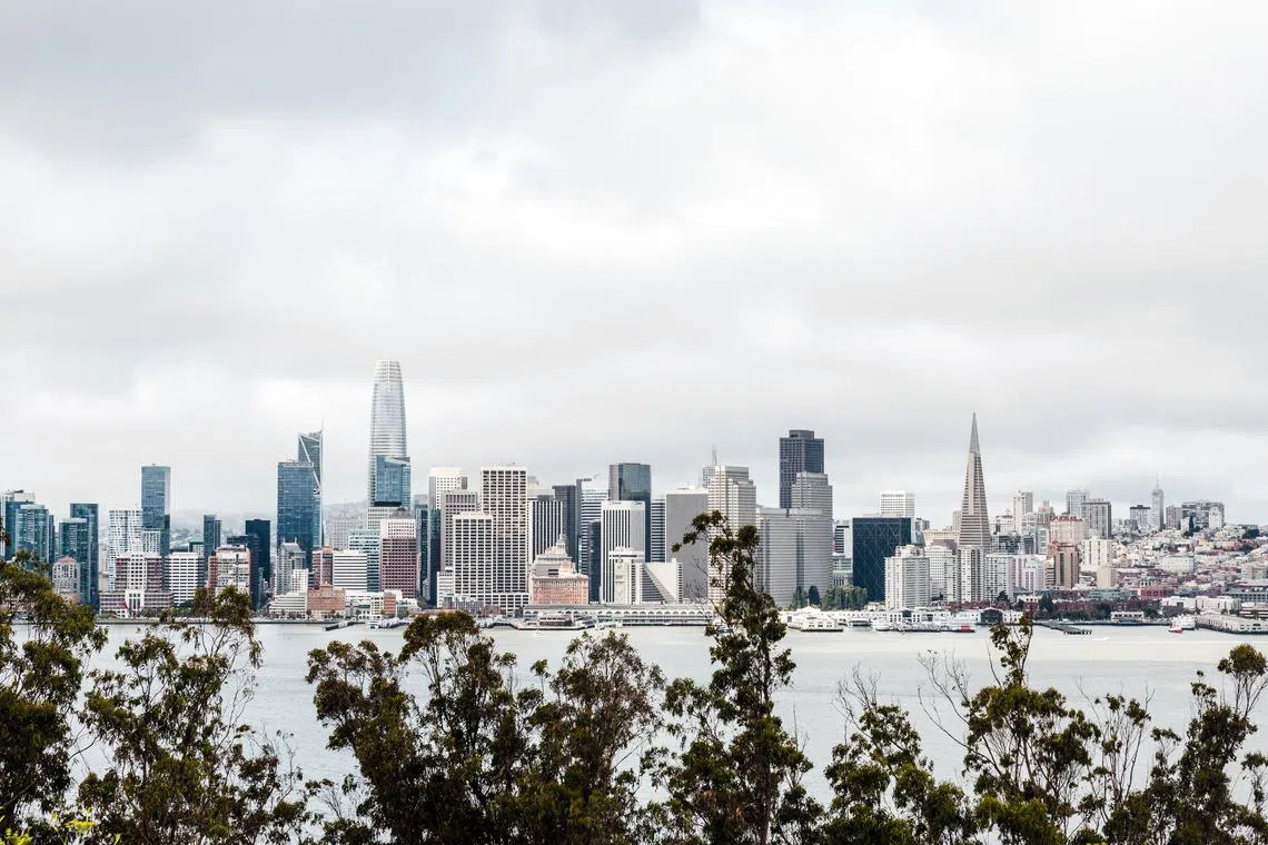 The entrepreneurs are part of a fast-growing cohort of chief executives in their 20s who have flocked to San Francisco’s AI boom.