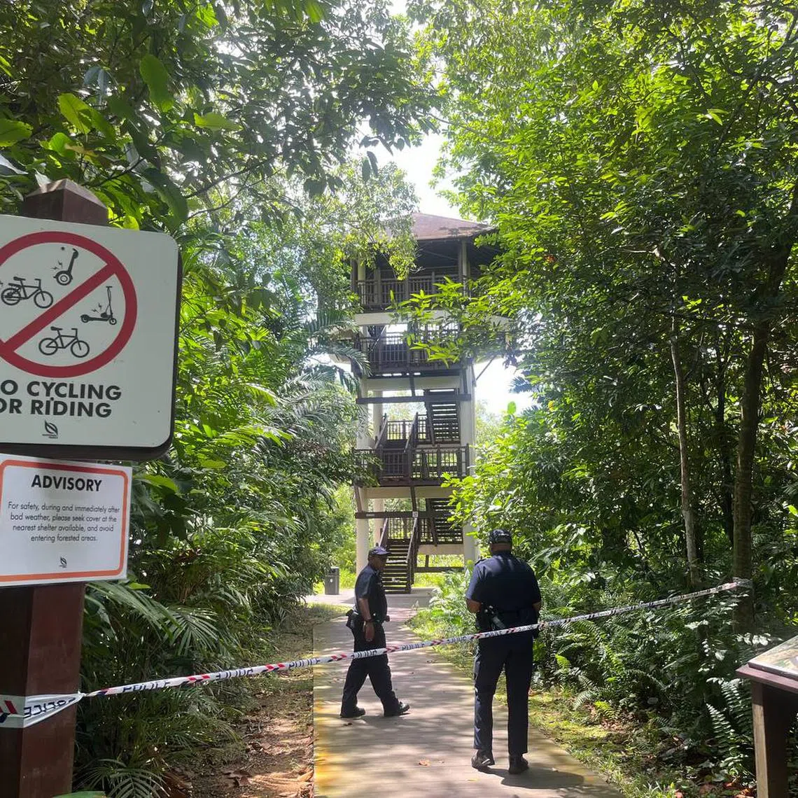 When The Straits Times arrived at around 12.40pm, both paths leading to the bird watching tower were cordoned off. 