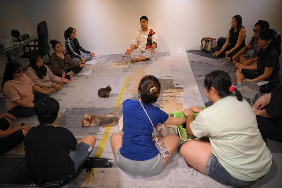 Ezekiel Ong, an animal communicator, hold an animal energy healing class on Oct 6, 2024.
