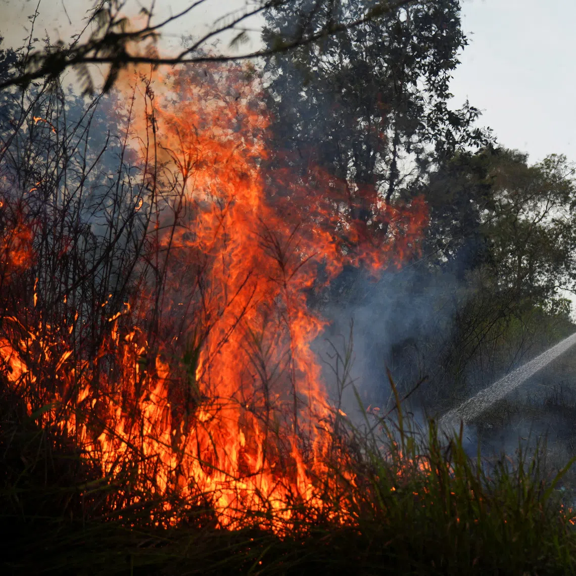Indonesia is facing a longer and more severe dry season in 2026 as El Nino intensifies.