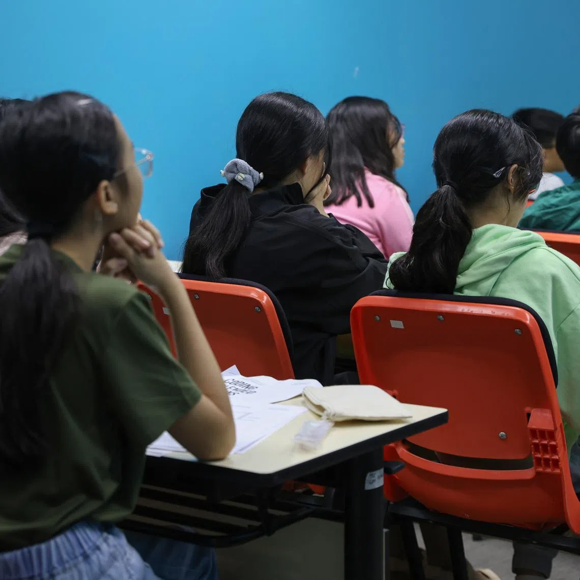 Researchers from the National Institute of Education found a more nuanced picture of such students, identifying five distinct profiles based on self-reported attributes.