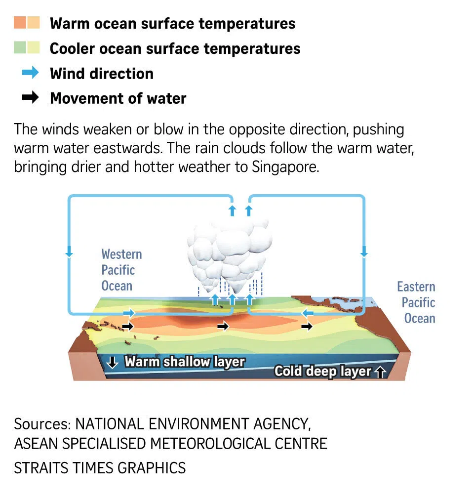 Diagram illustrating the El Nino phenomenon.