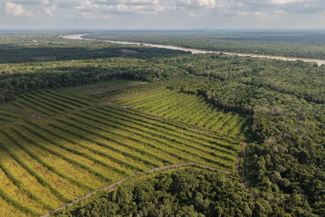Indonesia Parliament passes law aimed at resolving land conflicts