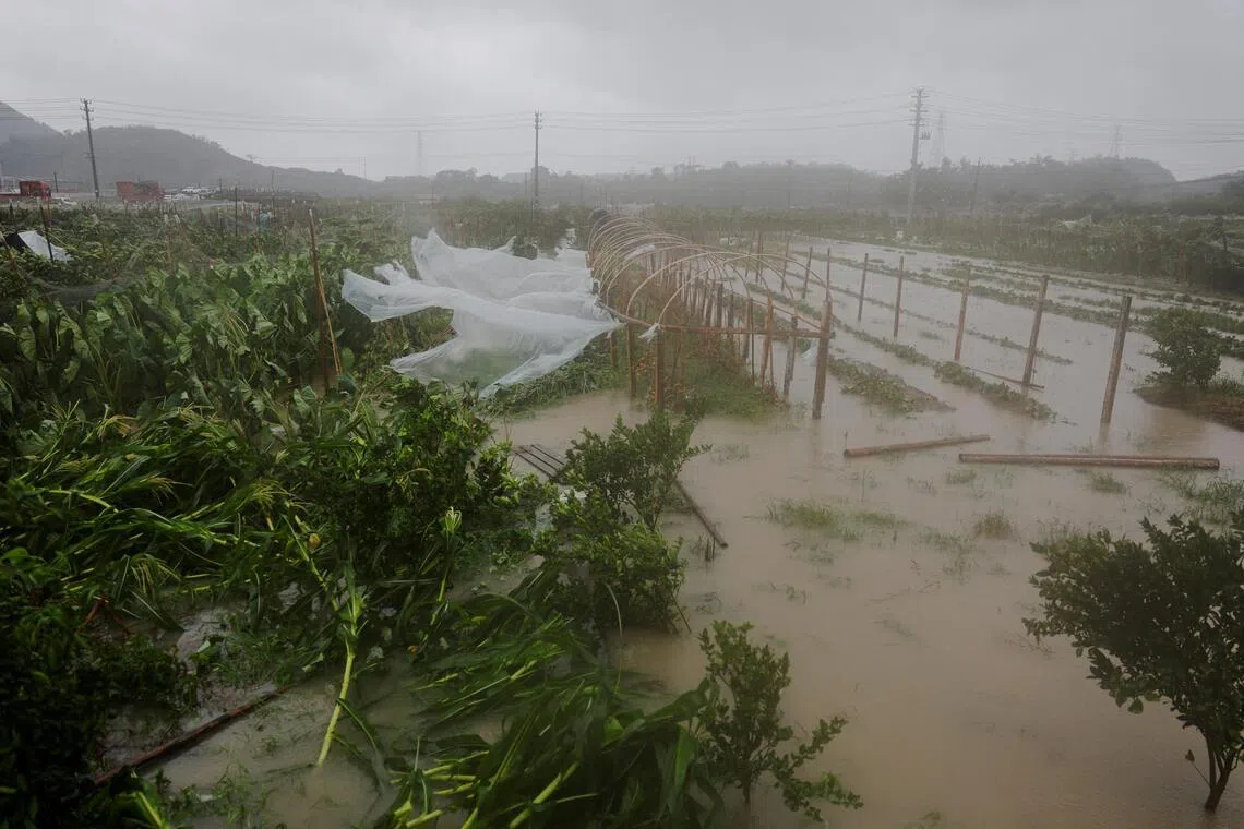 Typhoon Bavi makes landfall in China, downgraded to severe tropical storm