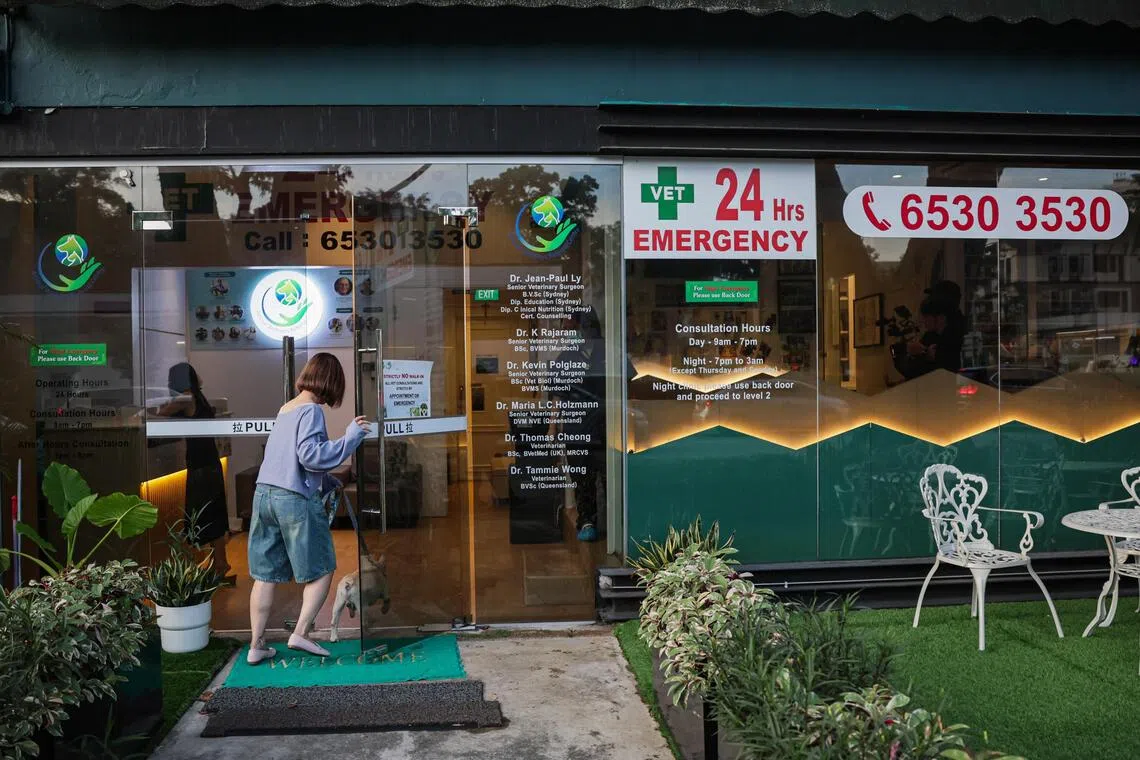 According to the Public Registry of AVS-Licensed Veterinary Centres, only four hospitals operate with a vet physically on-site at all times.