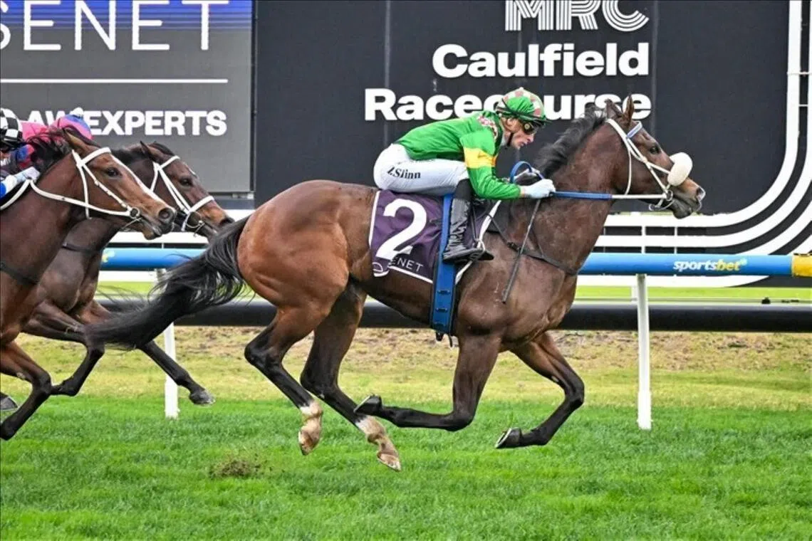 Ole Dancer (Blake Shinn) claiming the Group 1 Thousand Guineas (1,600m) at Caulfield on Oct 18, 2025. The filly contests the Group 1 Coolmore Classic (1,500m) at Rosehill on March 14.

