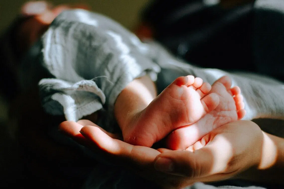 In the lawsuit, the eight, who were all adopted when they were very young, claim Danish authorities should have known their adoptions were illegal and therefore did not fulfil their responsibility to protect them.