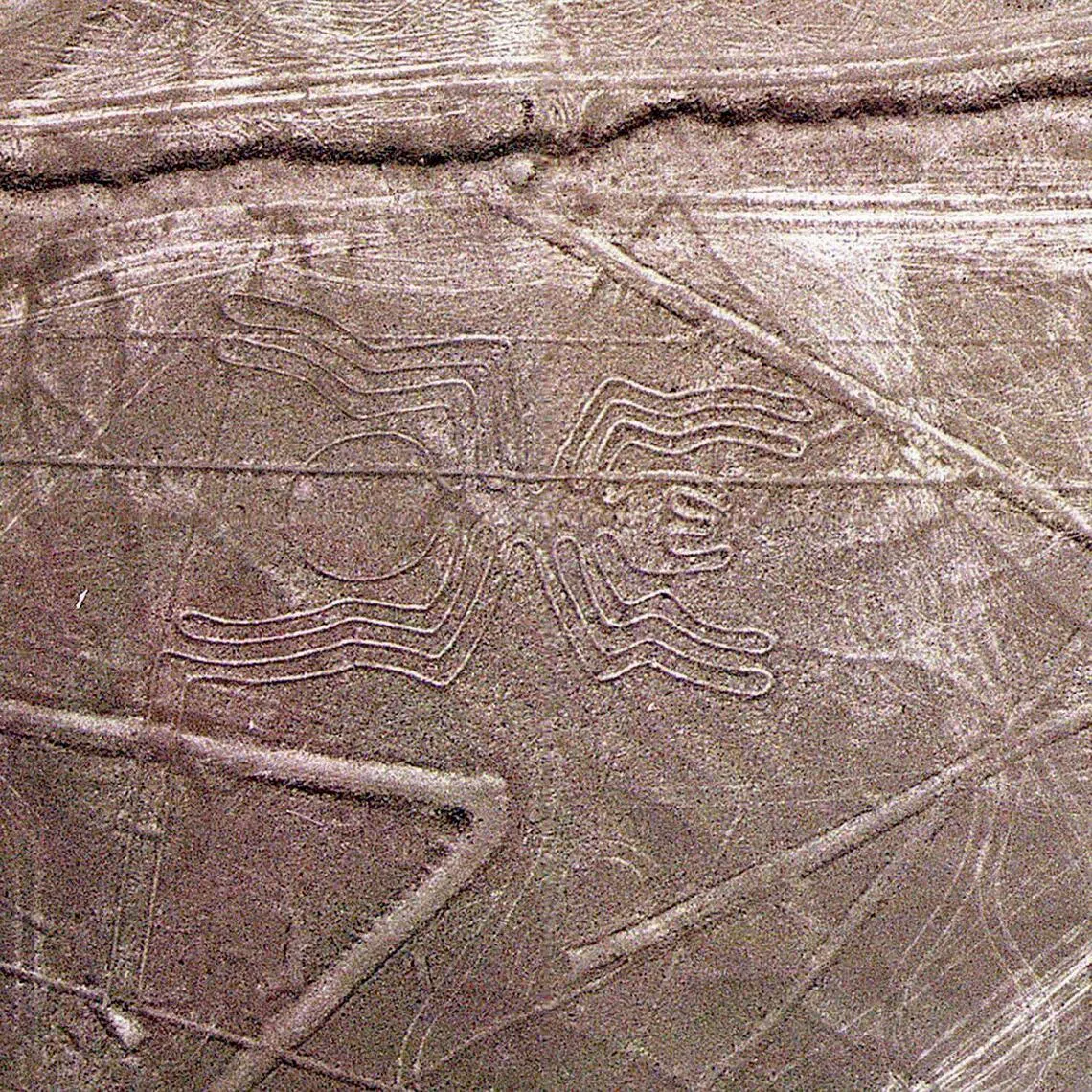 An aerial view of the archeological area of the Nazca Lines. Dozens of small planes operate in Peru, taking foreign tourists to see them.