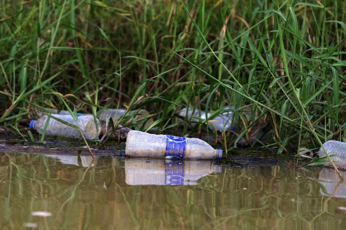 Rubbish along the banks of Johor River.
