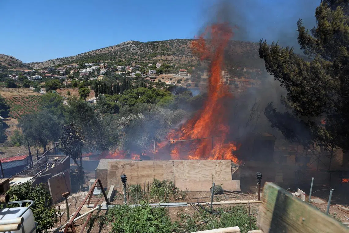 Flames rise next to a house as a wildfire burns in Keratea, near Athens, Greece, June 30, 2024. REUTERS/Elias Marcou