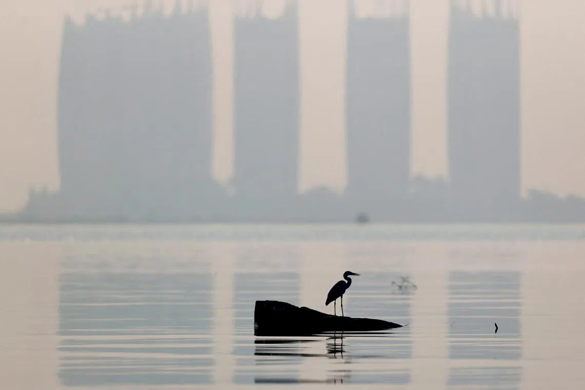 A heron bird perches as smog covers high rise buildings on the north coast of Jakarta, on Aug 28, 2021.