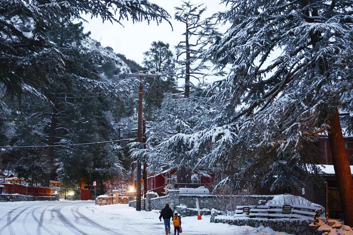 In the past week, snow coated Los Angeles County, which faced an uncharacteristic blizzard warning. 