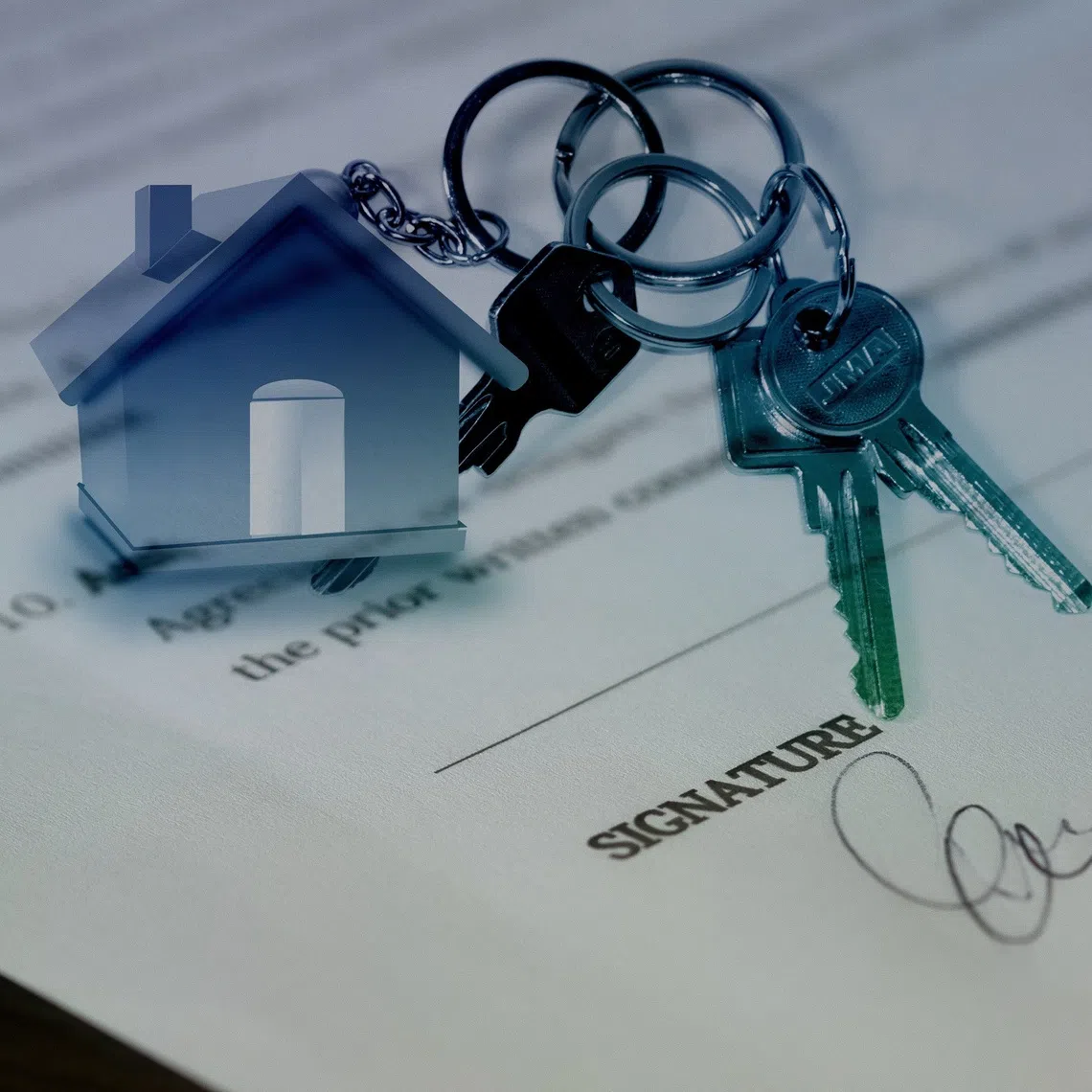 It is hard to anticipate such problems as very few people will check the property titles before signing the purchase agreements.